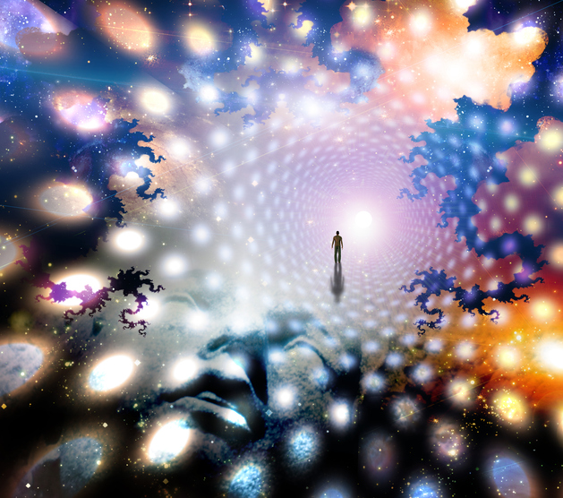 composite image to illustrate the power of fractal transformations Fractal transformations